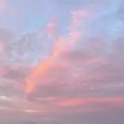 achanの画像