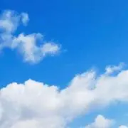 はなの画像