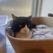 くうた