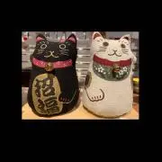 MOMOの画像