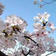 KELYの画像