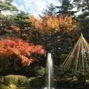 wegの画像
