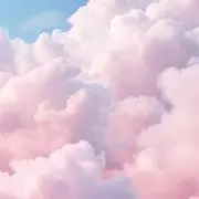 ゆゆの画像