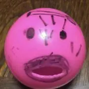 みーちゃんの画像