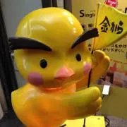 ⭐︎ひー⭐︎の画像