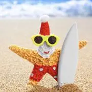 やーちゃんの画像