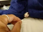 にゃち。