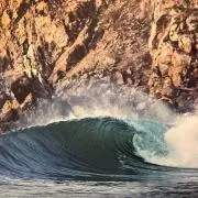 NO FEAR SURF VINTAGE