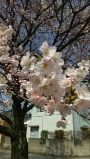 hiroの画像