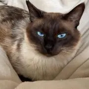 ママの画像