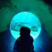 ナミKingの画像