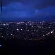 トマト