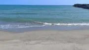 セラの画像