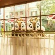 ぴかの画像