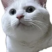 シロホクの画像