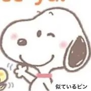 Image of かいとぴん