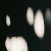 000の画像