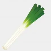 なぎの画像