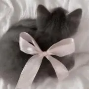 ちごの画像