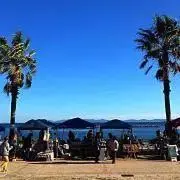 ちむをの画像
