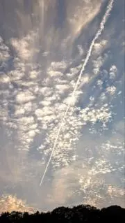 ✤FUKU✤の画像
