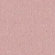 取置き不可の画像