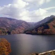 たけ坊の画像