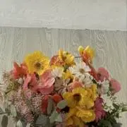 hanahanaの画像