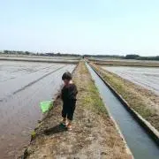 きままの画像