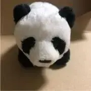 ぱんだ【プロフ確認お願いします】の画像