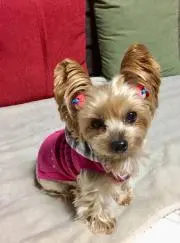 mimi443