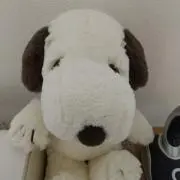 かなかずの画像