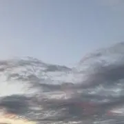 プロフ必読⚠️無言取引希望