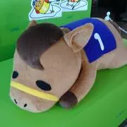 キンカメの画像