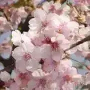 M⭐︎プロフ必読の画像