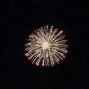 ＊ ちー ＊の画像