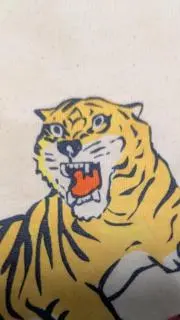 トラカズの画像
