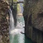 マクスの画像