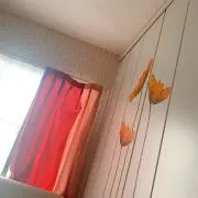 ぷちこ