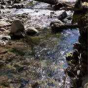 ●の画像