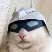 イワノフの画像