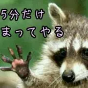 やっぽー