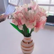 REA  プロフィール読んでくださいの画像