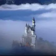 ももの画像