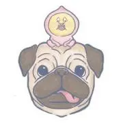 断捨離中！まとめ買いお値引きします！の画像