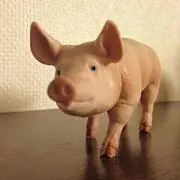 Moka☆Eruの画像