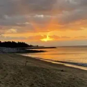 HAKUの画像