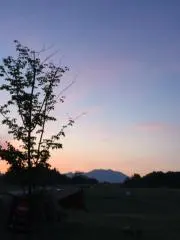栞