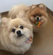 ☺︎ちいちゃん☺︎