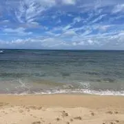 なの画像